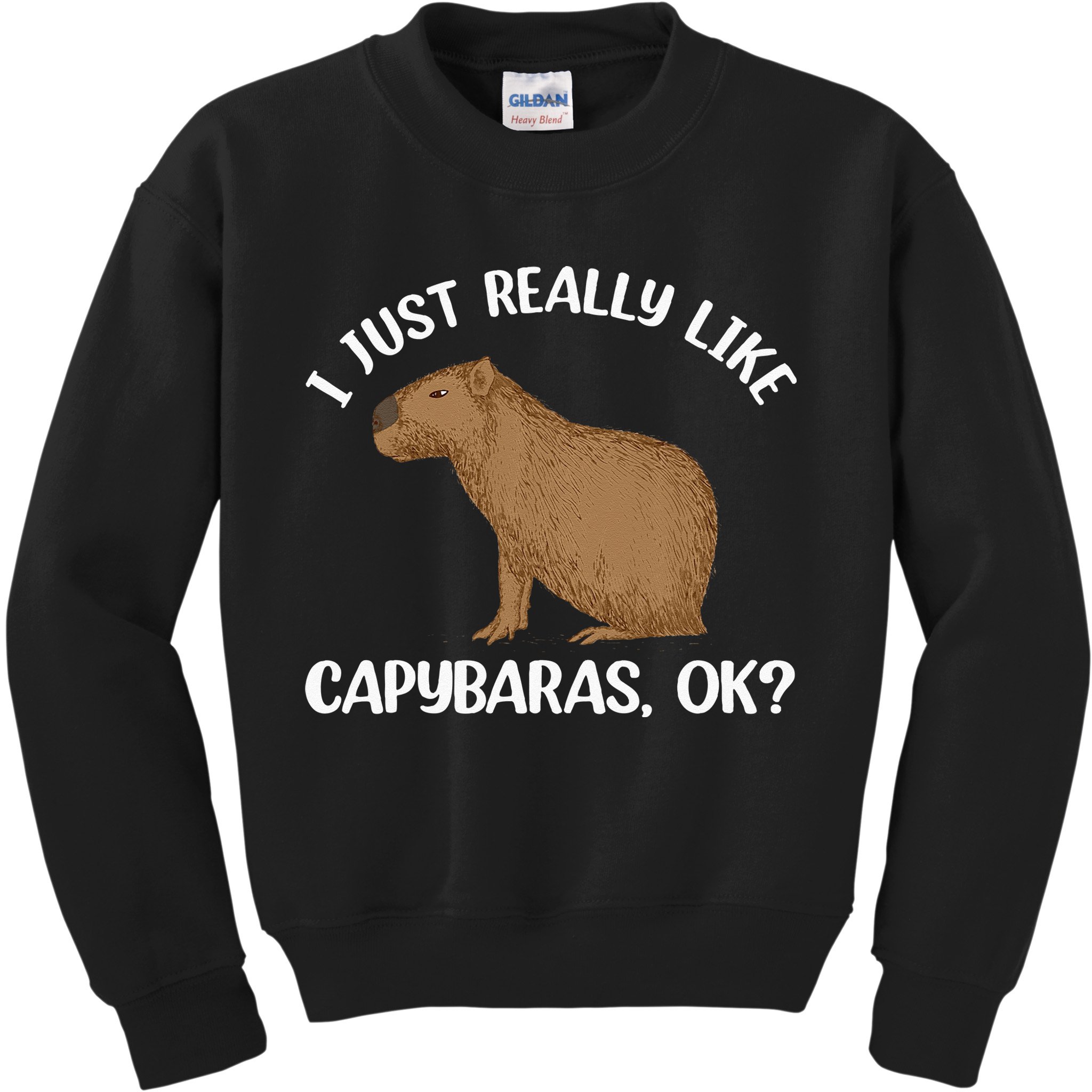 Funny Capybara Art For Men Women Kids Rodent Capybara Lover Kids Sweatshirt