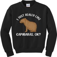 Funny Capybara Art For Men Women Kids Rodent Capybara Lover Kids Sweatshirt