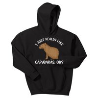 Funny Capybara Art For Men Women Kids Rodent Capybara Lover Kids Hoodie