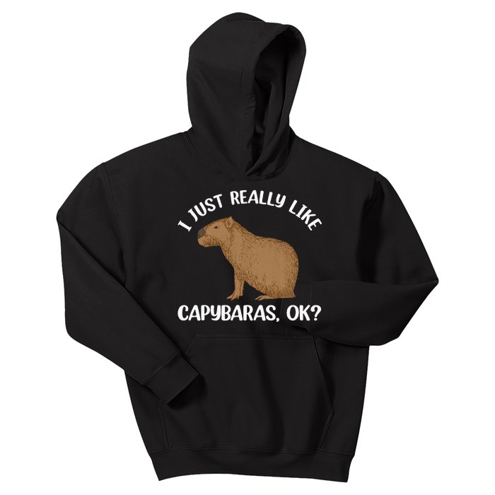 Funny Capybara Art For Men Women Kids Rodent Capybara Lover Kids Hoodie