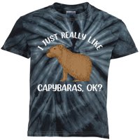 Funny Capybara Art For Men Women Kids Rodent Capybara Lover Kids Tie-Dye T-Shirt