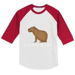 Funny Capybara Art For Men Women Kids Rodent Capybara Lover Kids Colorblock Raglan Jersey