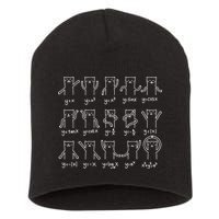 Funny Cat And Math Cat And Algebra Lover Cat Gift Short Acrylic Beanie