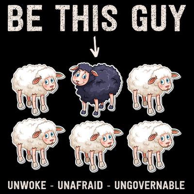 Funny Conservative Anti Woke Politically Incorrect T-Shirt