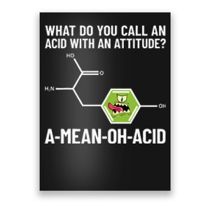 Funny Chemist Amino Acid Pun Ameanohacid Chemistry Poster