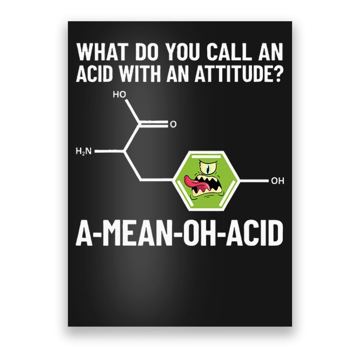 Funny Chemist Amino Acid Pun Ameanohacid Chemistry Poster