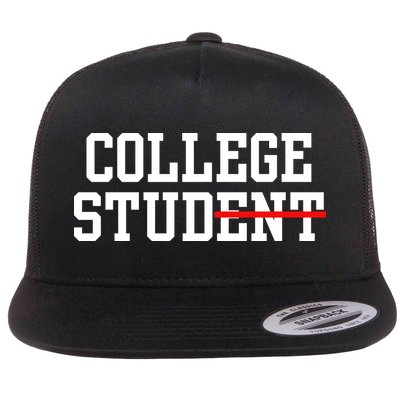 Funny College Apparel Gift Flatbill Hat