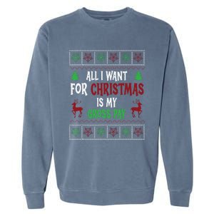 Funny Christmas All I Want Is My Gross Pay Funny Holiday Garment-Dyed Sweatshirt