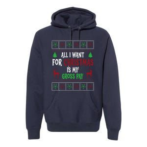 Funny Christmas All I Want Is My Gross Pay Funny Holiday Premium Hoodie