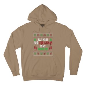 Funny Christmas All I Want Is My Gross Pay Funny Holiday Hoodie