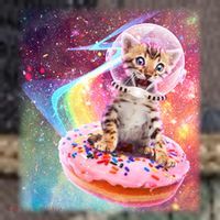 Funny Cute Astronaut Kitty On Rainbow Sprinkle Donut With Galaxy Background Retro Rope Trucker Hat Cap