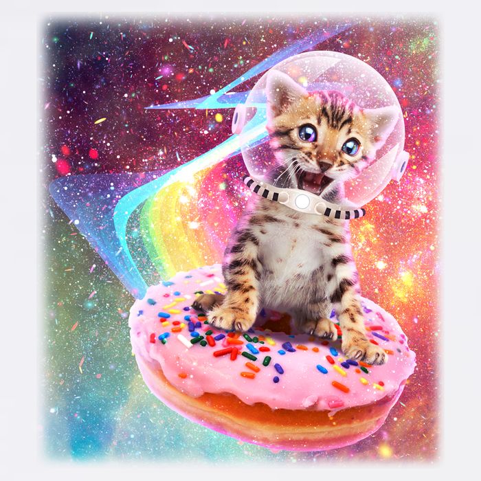 Funny Cute Astronaut Kitty On Rainbow Sprinkle Donut With Galaxy Background Garment-Dyed Sweatshirt