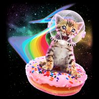 Funny Cute Astronaut Kitty On Rainbow Sprinkle Donut 7-Panel Snapback Hat