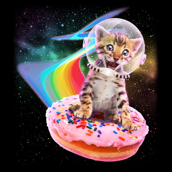 Funny Cute Astronaut Kitty On Rainbow Sprinkle Donut 7-Panel Snapback Hat