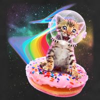 Funny Cute Astronaut Kitty On Rainbow Sprinkle Donut Adult Drive Performance Visor