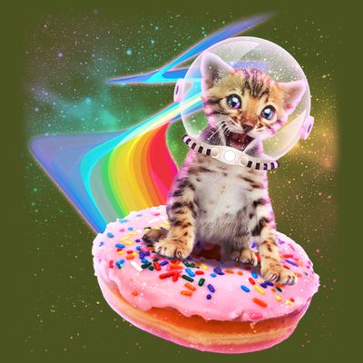 Funny Cute Astronaut Kitty On Rainbow Sprinkle Donut T-Shirt
