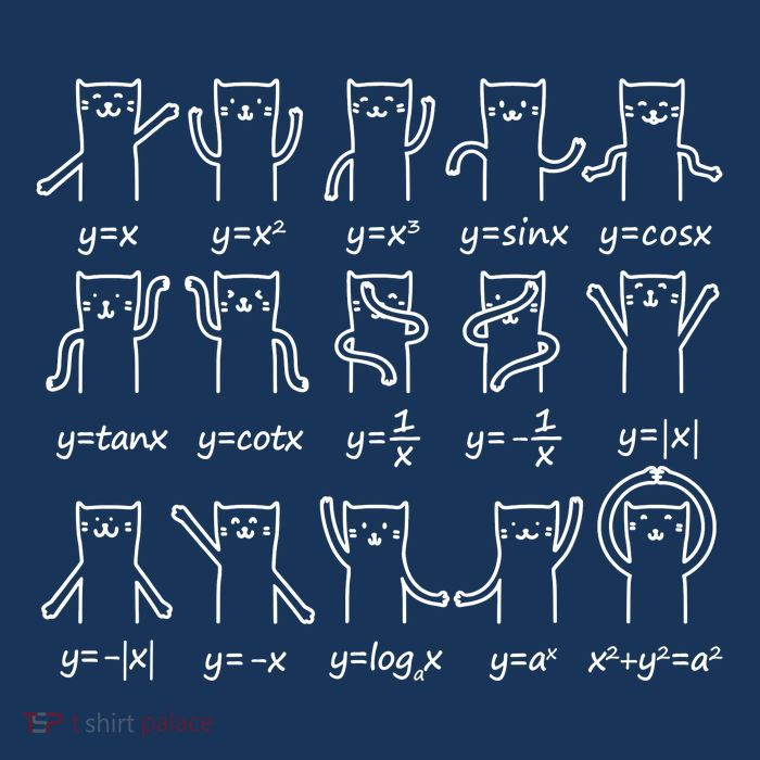 Funny Cat And Math Cat And Algebra Lover Cat Mousepad