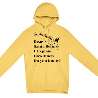 Funny Christmas Adults Dear Santa I Can Explain Meaningful Gift Premium Pullover Hoodie