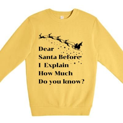 Funny Christmas Adults Dear Santa I Can Explain Meaningful Gift Premium Crewneck Sweatshirt