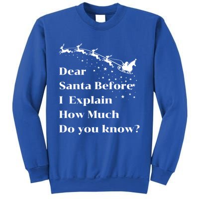 Funny Christmas Adults Dear Santa I Can Explain Meaningful Gift Sweatshirt