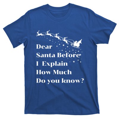 Funny Christmas Adults Dear Santa I Can Explain Meaningful Gift T-Shirt