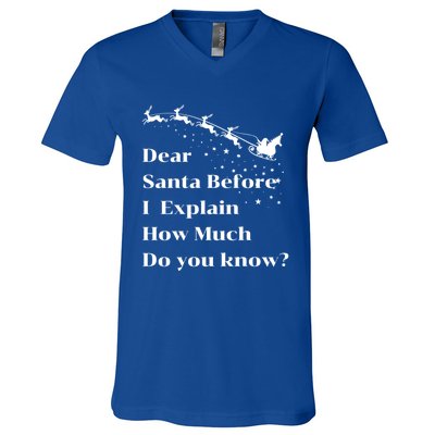 Funny Christmas Adults Dear Santa I Can Explain Meaningful Gift V-Neck T-Shirt