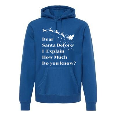 Funny Christmas Adults Dear Santa I Can Explain Meaningful Gift Premium Hoodie