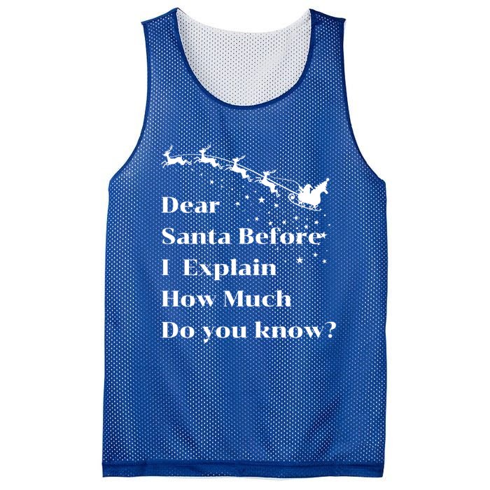 Funny Christmas Adults Dear Santa I Can Explain Meaningful Gift Mesh Reversible Basketball Jersey Tank