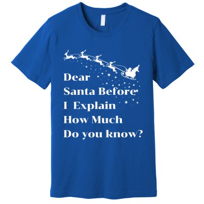 Funny Christmas Adults Dear Santa I Can Explain Meaningful Gift Premium T-Shirt