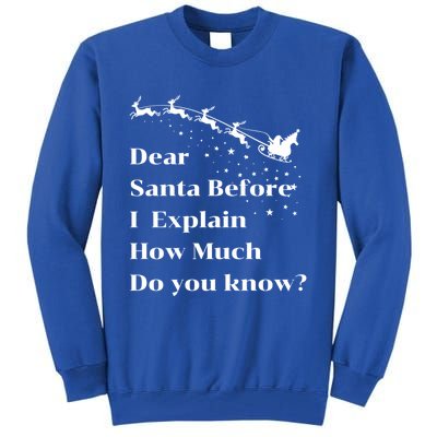 Funny Christmas Adults Dear Santa I Can Explain Meaningful Gift Tall Sweatshirt