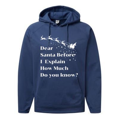 Funny Christmas Adults Dear Santa I Can Explain Meaningful Gift Performance Fleece Hoodie