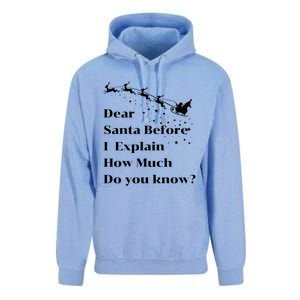 Funny Christmas Adults Dear Santa I Can Explain Meaningful Gift Unisex Surf Hoodie