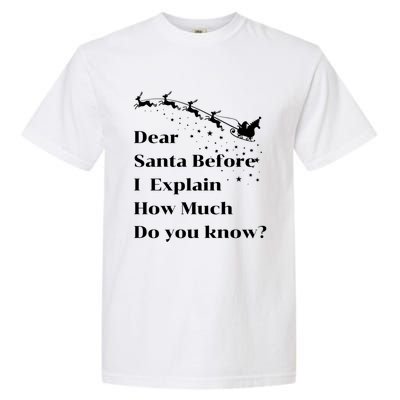 Funny Christmas Adults Dear Santa I Can Explain Meaningful Gift Garment-Dyed Heavyweight T-Shirt