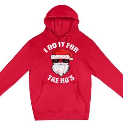 Funny Christmas Adult Naughty Dirty Pajama, Ho Pj,  Wo Premium Pullover Hoodie