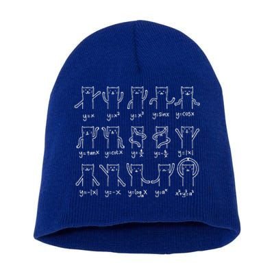 Funny Cat And Math Funny Math Cat Algebra Lover Funny Cat Short Acrylic Beanie