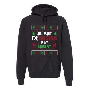 Funny Christmas All I Want Is My Gross Pay Funny Holiday Premium Hoodie