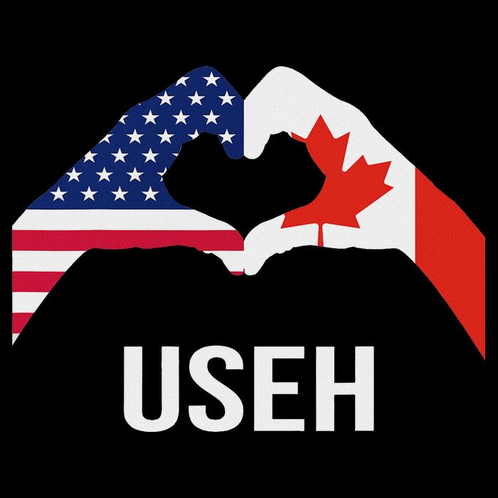 Funny Canada American Flag Us Eh Poster