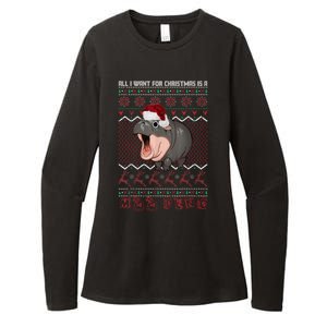 Funny Christmas All I Want For Christmas Is A Moo Deng Gift Womens CVC Long Sleeve Shirt