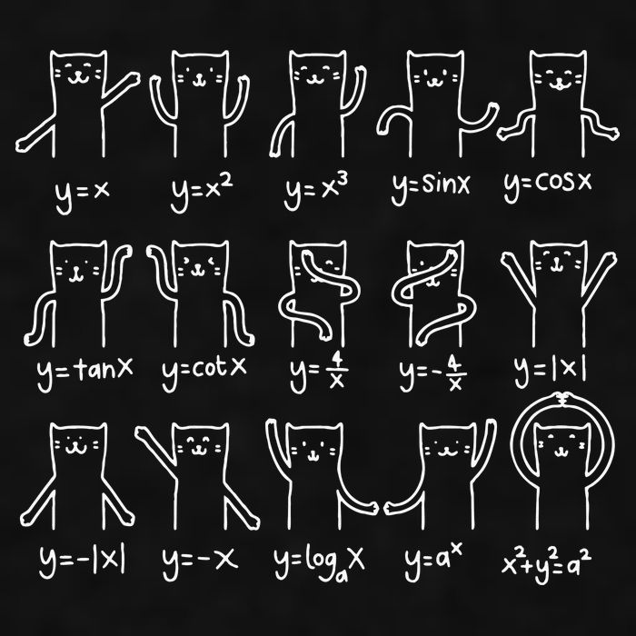 Funny Cat And Math Cat And Algebra Lover Cat Ladies PosiCharge Tri-Blend Wicking Tank