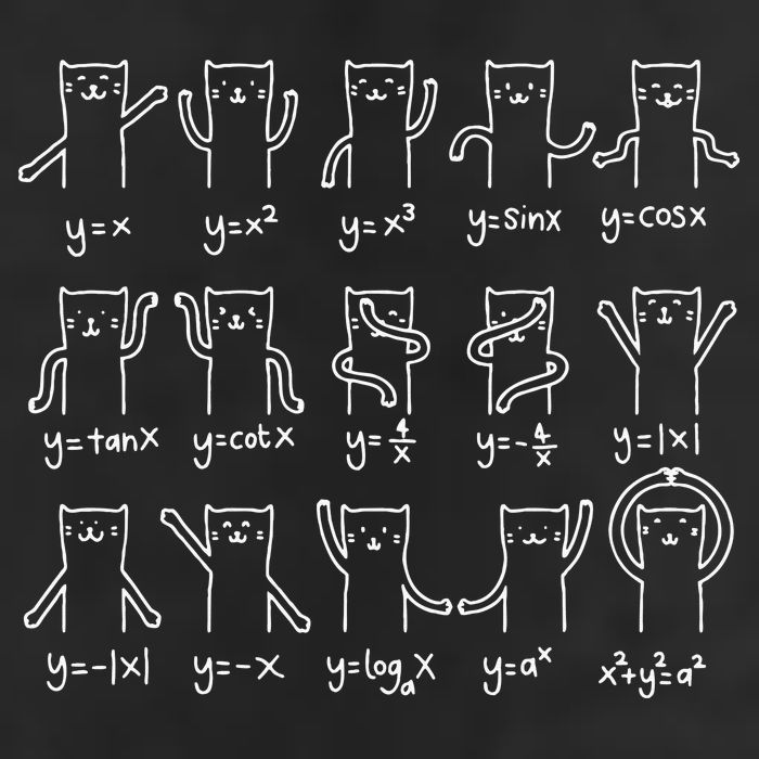 Funny Cat And Math Cat And Algebra Lover Cat Tumbler