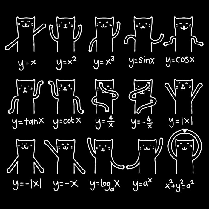 Funny Cat And Math Cat And Algebra Lover Cat Baby Bodysuit