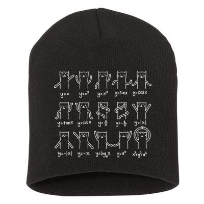 Funny Cat And Math Cat And Algebra Lover Cat Short Acrylic Beanie