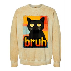 Funny Cat Bruh For Meme Graphic Colorblast Crewneck Sweatshirt