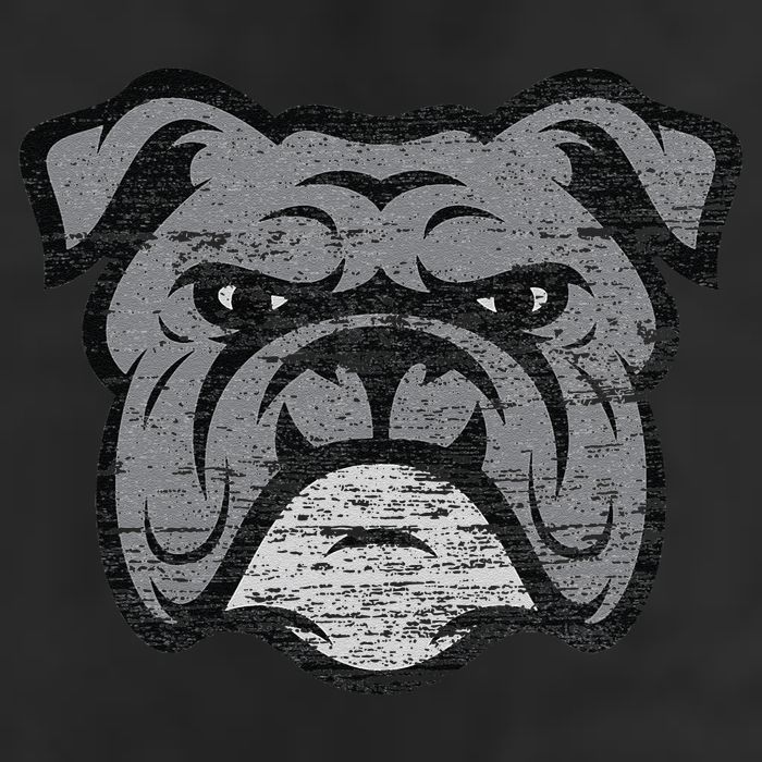 Funny Cool Bulldog Dog Lover Gifts Idea 7 Panel Mesh Trucker Snapback Hat