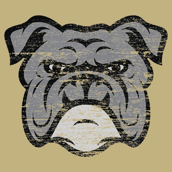 Funny Cool Bulldog Dog Lover Gifts Idea Cooling Performance Crew T-Shirt