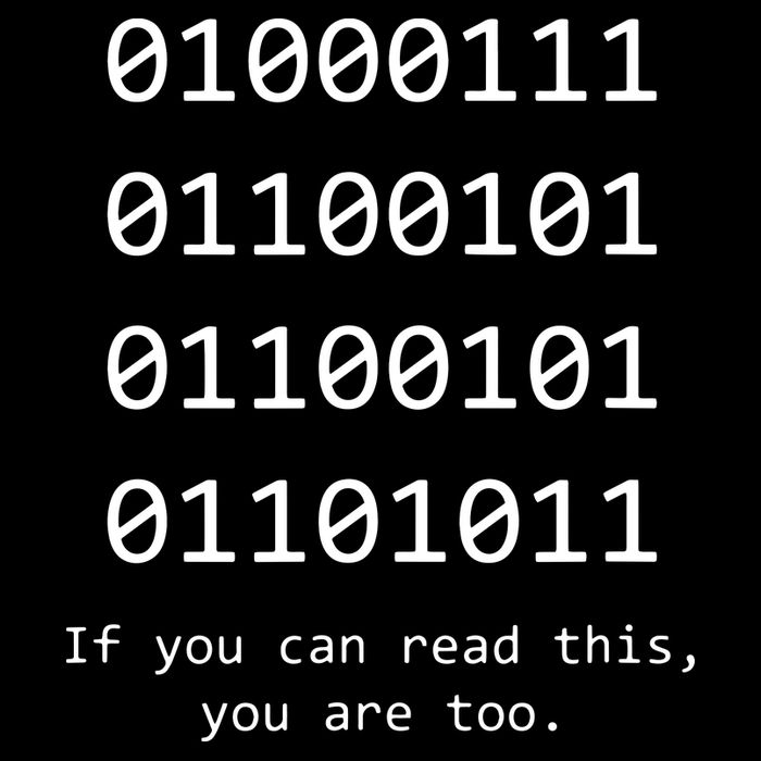 Funny Computer Binary Code Programmer Developer Geek Gift Bag