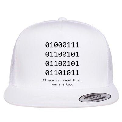 Funny Computer Binary Code Programmer Developer Geek Gift Flat Bill Trucker Hat