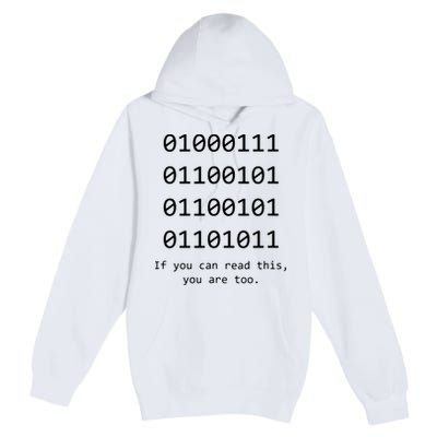 Funny Computer Binary Code Programmer Developer Geek Gift Premium Pullover Hoodie