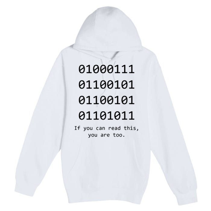 Funny Computer Binary Code Programmer Developer Geek Gift Premium Pullover Hoodie