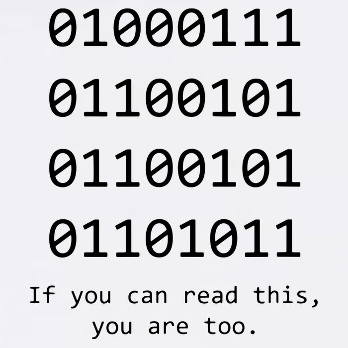 Funny Computer Binary Code Programmer Developer Geek Gift Magnet